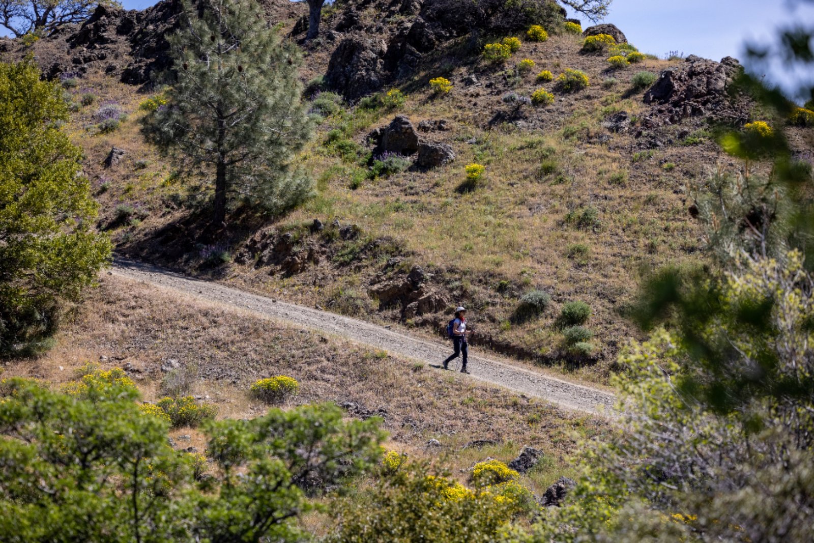 Senderista en un camino de montaña