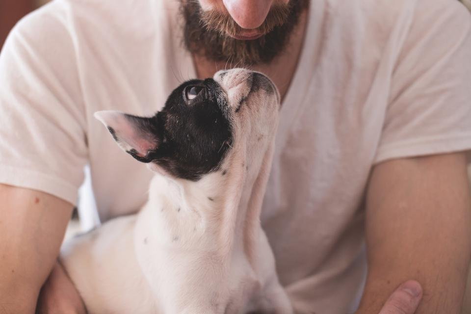 Veterinaria revisando a un perro en la consulta